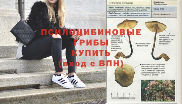 a pvp Алексеевка