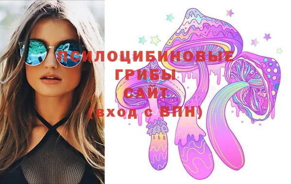 хмурый Алзамай