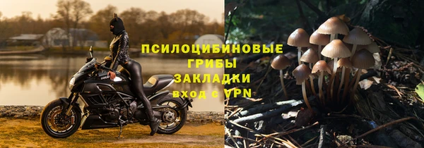 синтетический гашиш Алексин