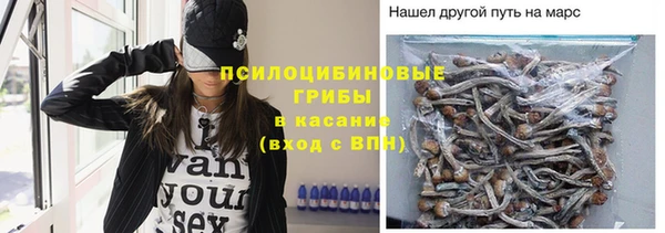 синтетический гашиш Алексин