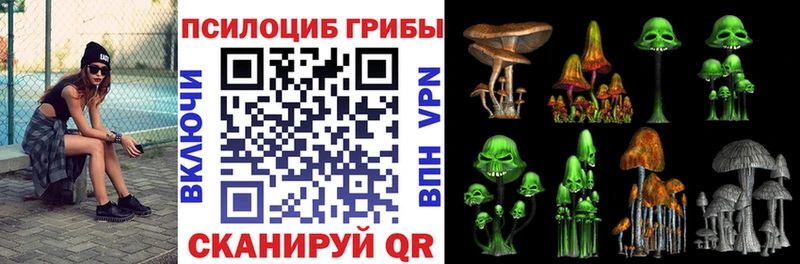 купить   Стародуб  Псилоцибиновые грибы ЛСД 